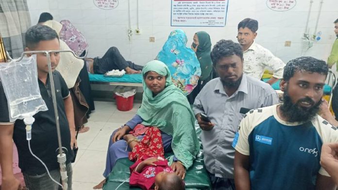 চাঁদপুরে রাসেলস ভাইপারের কামড়ে শিশু আহত, সাপসহ হাসপাতালে বাবা