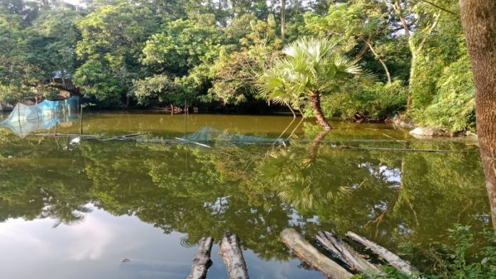 পুকুরের জাল কেটে মাছ বের করে দেওয়ার অভিযোগ, হাজীগঞ্জ থানায় লিখিত অভিযোগ