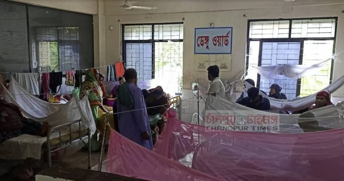 চাঁদপুরে হাসপাতালে প্রতিদিনই বাড়ছে ডেঙ্গু রোগীর সংখ্যা