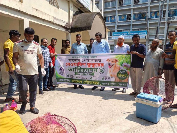 মতলব দক্ষিণে বেওয়ারিশ কুকুরের জলাতঙ্ক টিকাদান কার্যক্রম উদ্বোধন