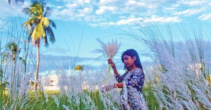 ঋতুপ্রিয় বাঙালি