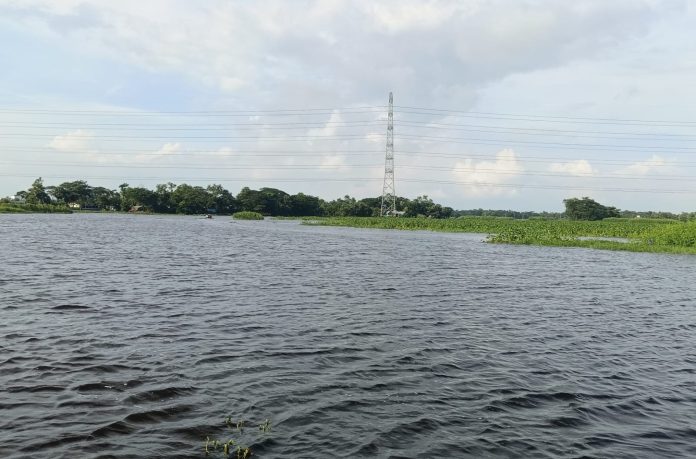 ইলিশের পাশাপাশি দেশীয় মাছও হুমকিতে