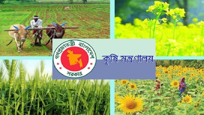 সারাদেশে ২০ হাজার কৃষি উদ্যোক্তা তৈরির উদ্যোগ