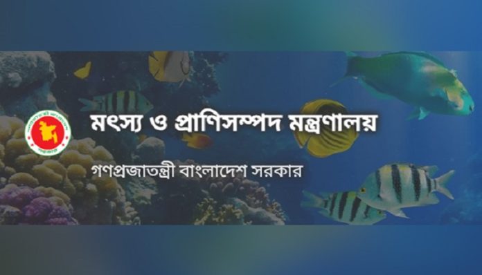 ভেটেরিনারি স্বাস্থ্যসেবা জোরদারে হচ্ছে ৪৯২ নতুন পদ